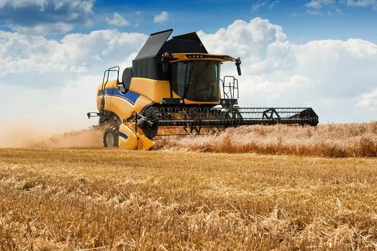 Importations céréalières : les besoins du Maroc en blé estimés à 6 millions de tonnes