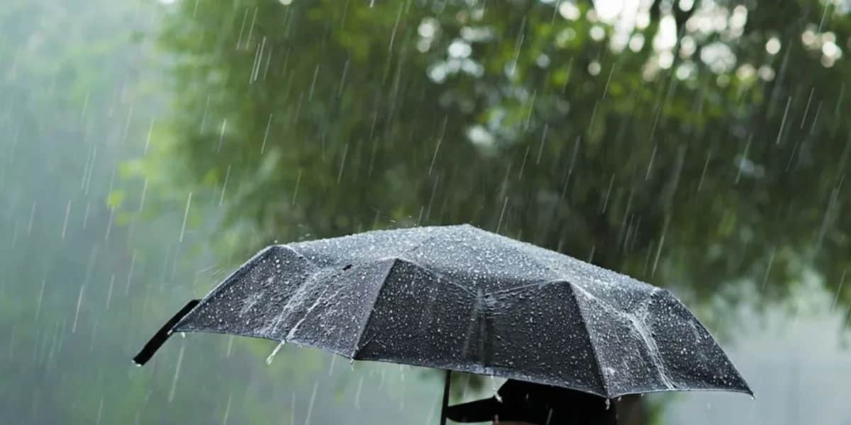 Maroc Météo : averses orageuses, chutes de neige et fortes rafales de vent, mardi et mercredi, dans plusieurs provinces