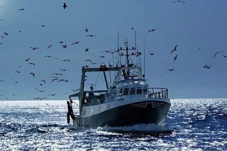 Maroc-UE : l’avocate générale demande l’annulation de l’accord de pêche