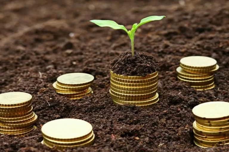 Microfinance : un secteur en quête de plus de dynamisme