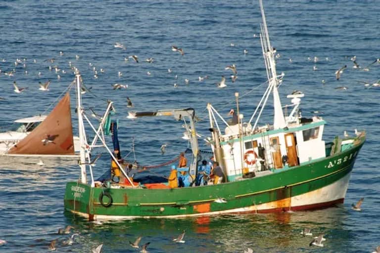 Pêche côtière et artisanale : près de 10 milliards de dirhams générés en onze mois
