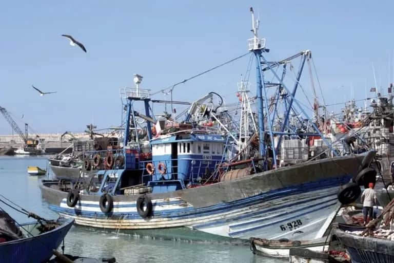 Pêche côtière et artisanale : hausse des débarquements de 2% à fin février