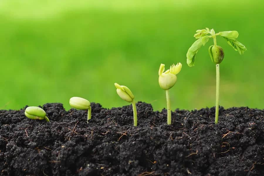 Plan Maroc Vert : le cumul des investissements dans le secteur agricole a atteint 104 milliards de DH entre 2008 et 2018