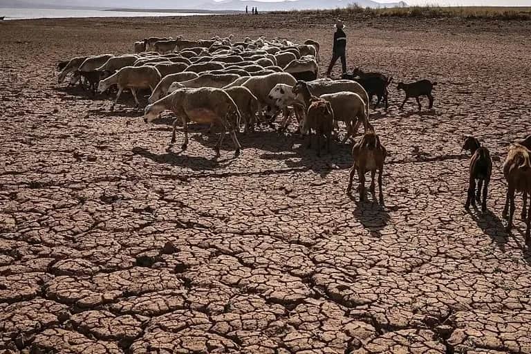 Ressources humaines: la sécheresse accentue l’exode rural et réduit le nombre de travailleurs agricoles
