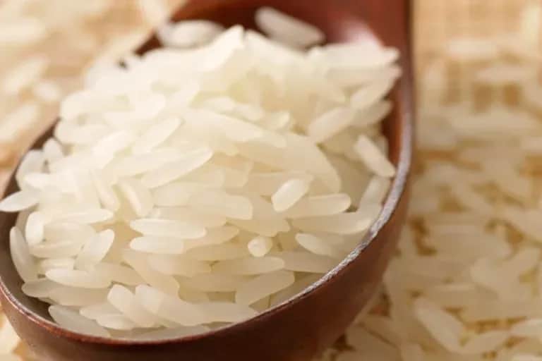USA-MAROC : les producteurs de riz américains s’ouvrent au marché marocain