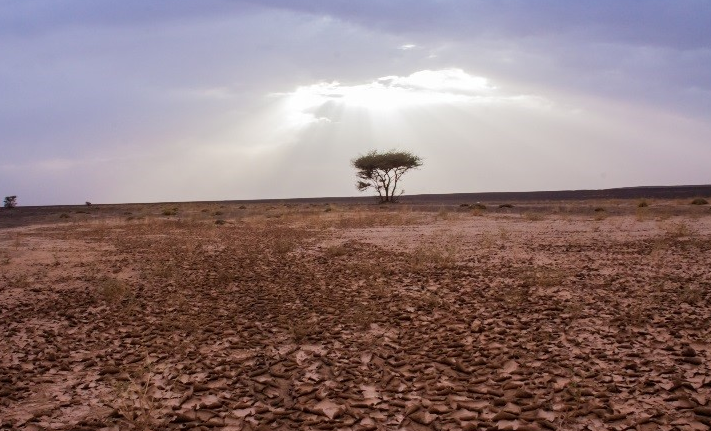 Sécheresse et désertification : les grandes menaces du siècle