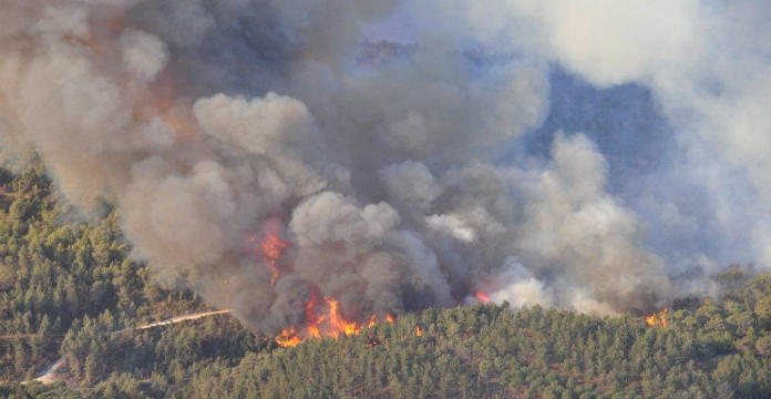 Incendies de forêts : Mediouna sera reboisée