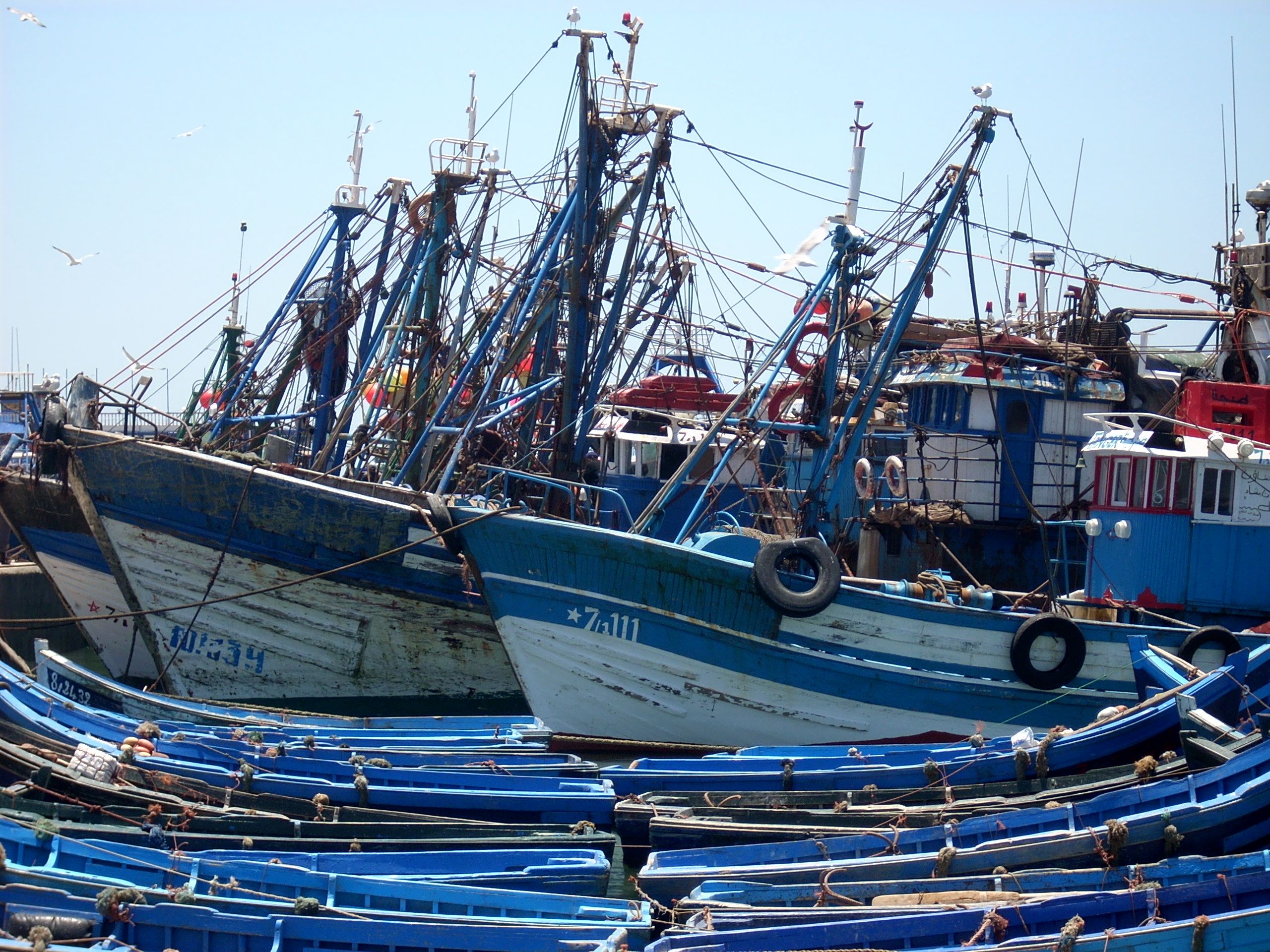 Pêche artisanale : Enfin une assurance pour les professionnels !