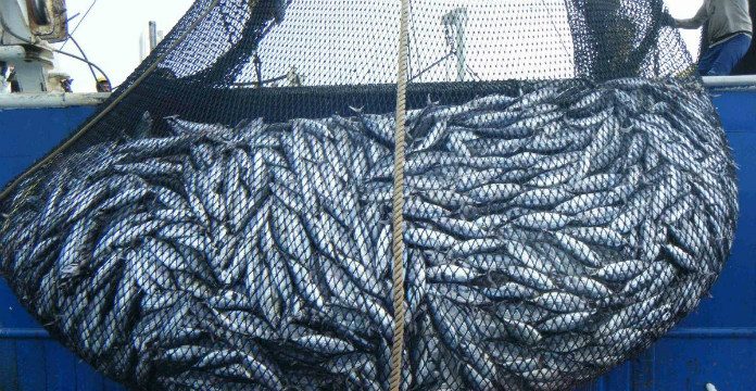 Rebondissement dans l'accord de pêche Maroc-UE