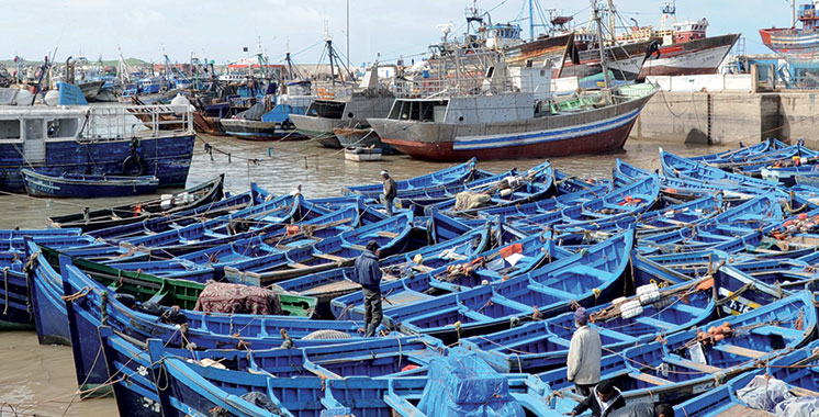 Pêche côtière et artisanale : Baisse de 14% des débarquements à fin février 2018 (ONP)