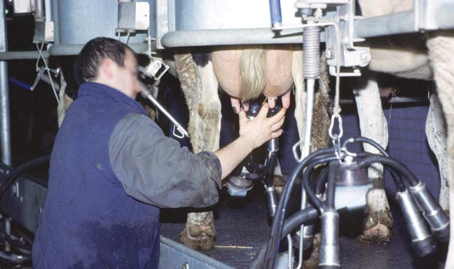 La filière laitière au centre des travaux de l'AG de la COMADER