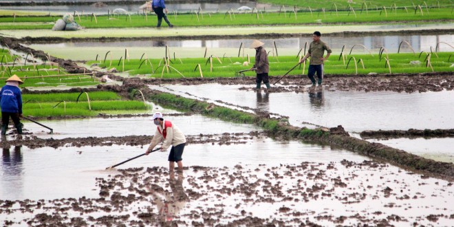 ORMVA-Gharb: Hausse de 15% des subventions accordées aux agriculteurs en 2017
