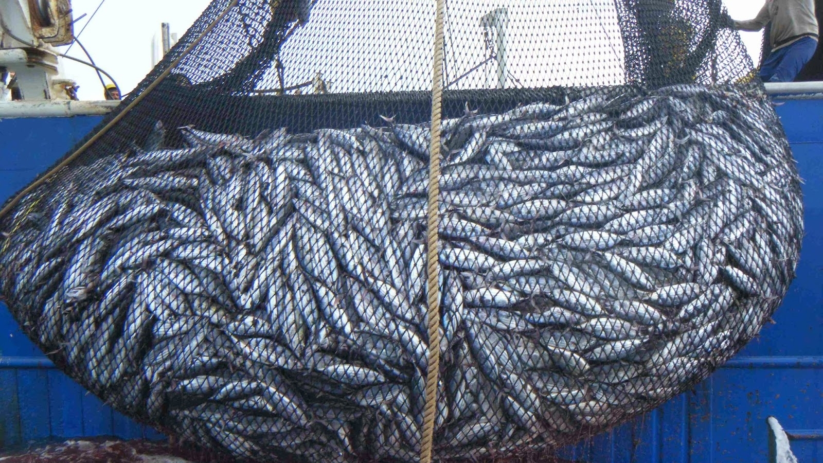 Le Maroc et l’UE se mettent d’accord sur le contenu du futur accord de pêche