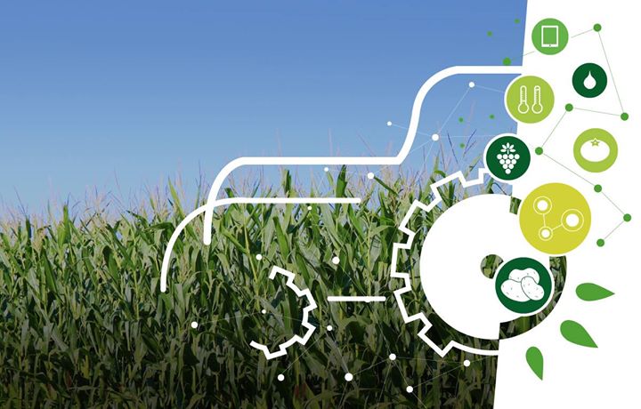 PME innovantes : Agridata Consulting digitalise l’agriculture