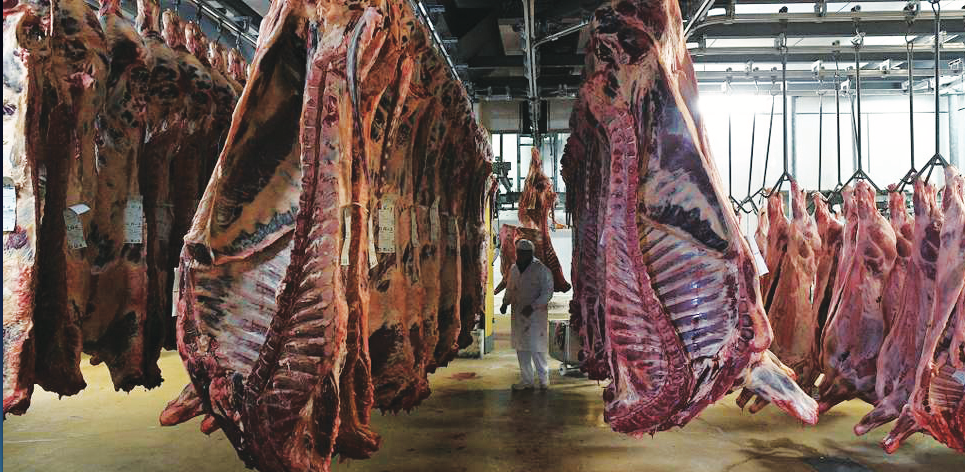 Viandes rouges : Faut-il craindre le bœuf américain ?