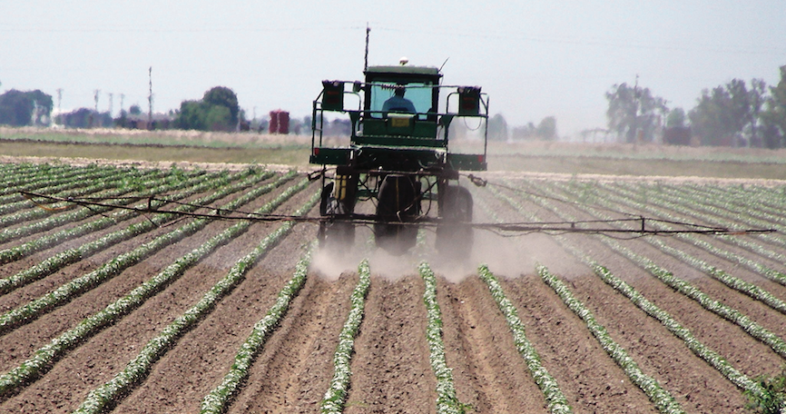 Campagne agricole 2019 : rien n’est encore joué