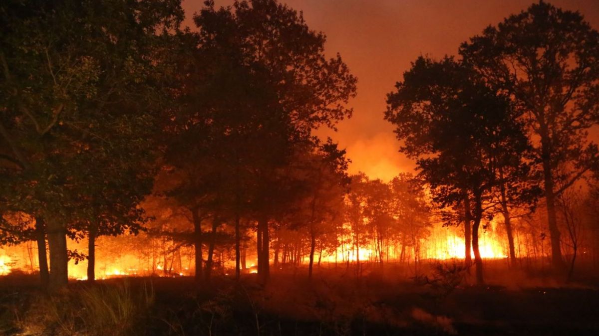 Maroc : 841 ha touchés par des feux de forêts en 2018