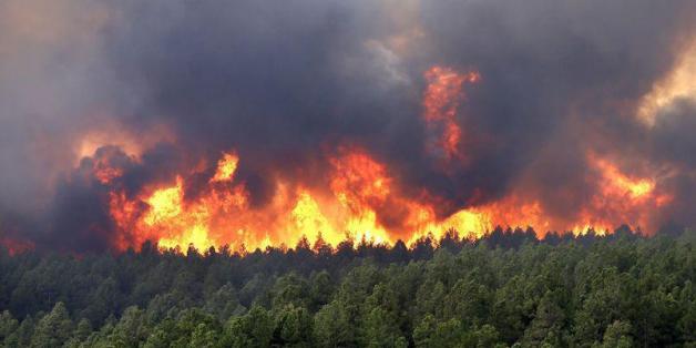 Chefchaouen: 65 hectares de la forêt de Achacha-Tassift ravagés par le feu