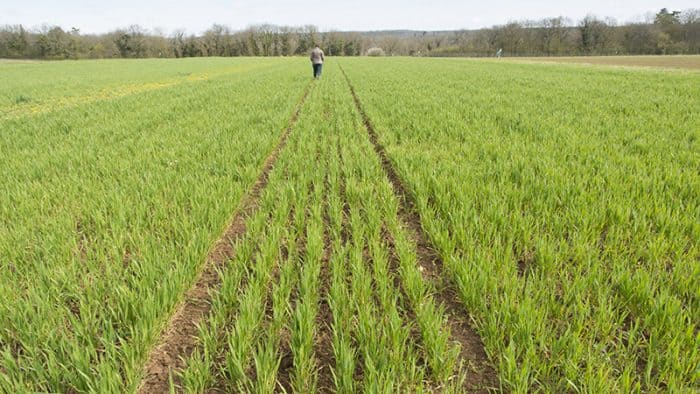 Maroc : La date du démarrage de la Campagne agricole 2020