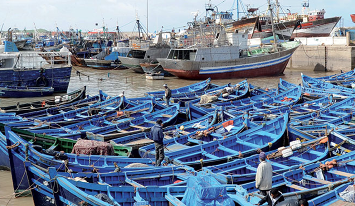 Pêche côtière et artisanale : débarquements en hausse, valeur marchande en baisse