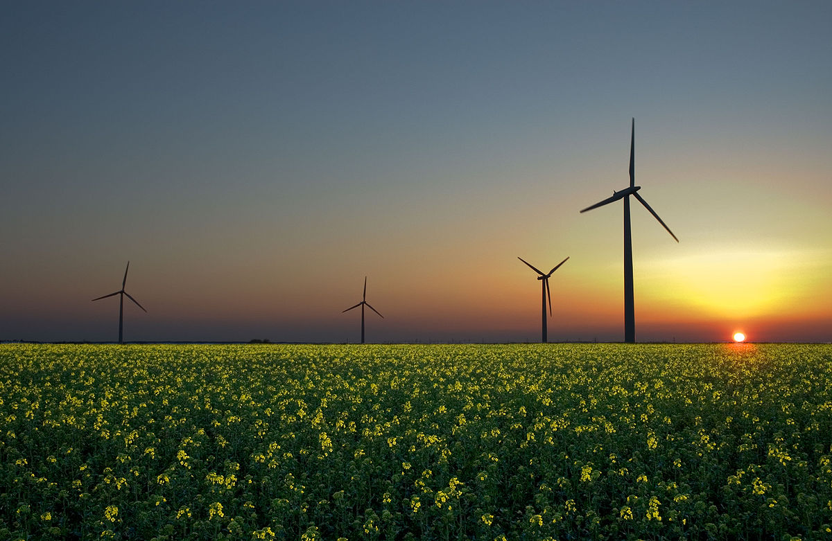 Énergies renouvelables: la capacité de production devrait bondir durant les cinq prochaines années