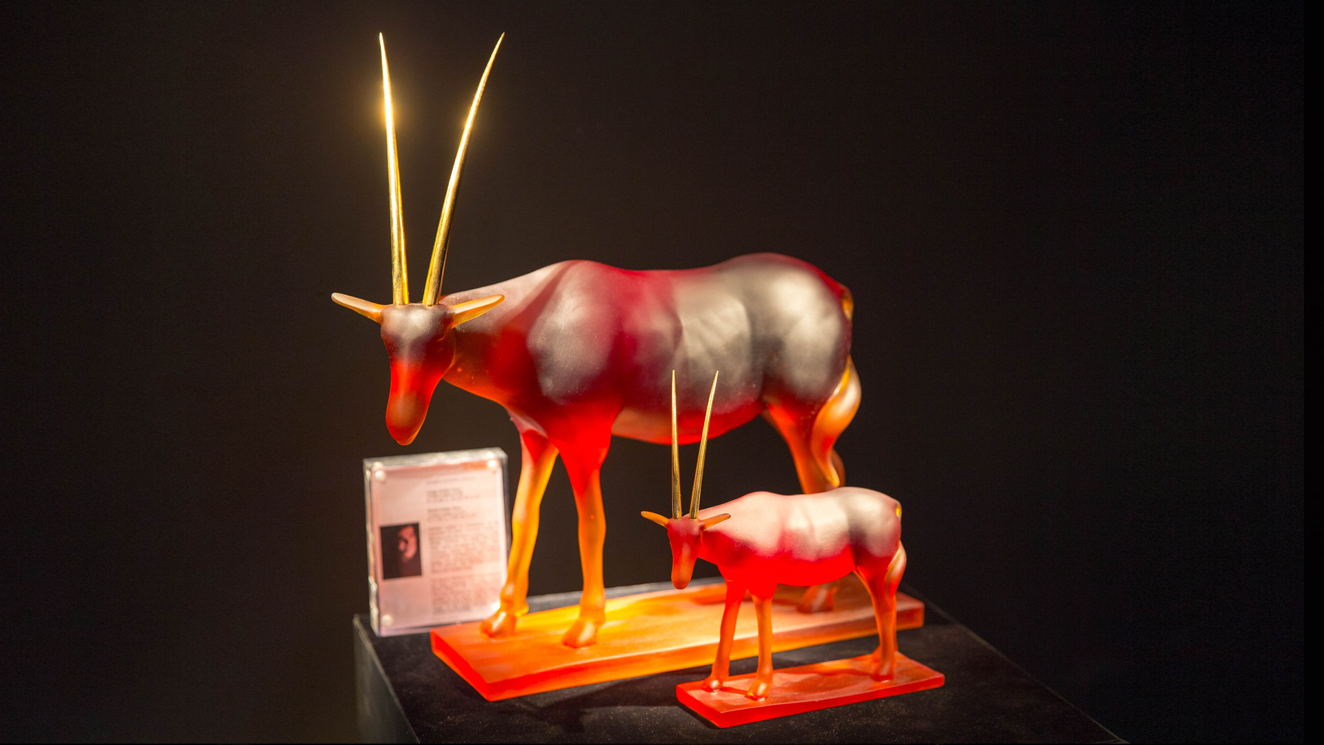 Un jour, une œuvre : l’Oryx sublimé de Hicham Lahlou