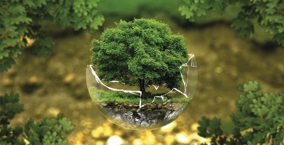 Economie verte : Lancement de l’appel à projets Ecostart