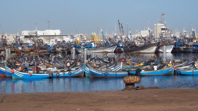 Pêche côtière et artisanale: Recul de 8% des débarquements au S1-2020