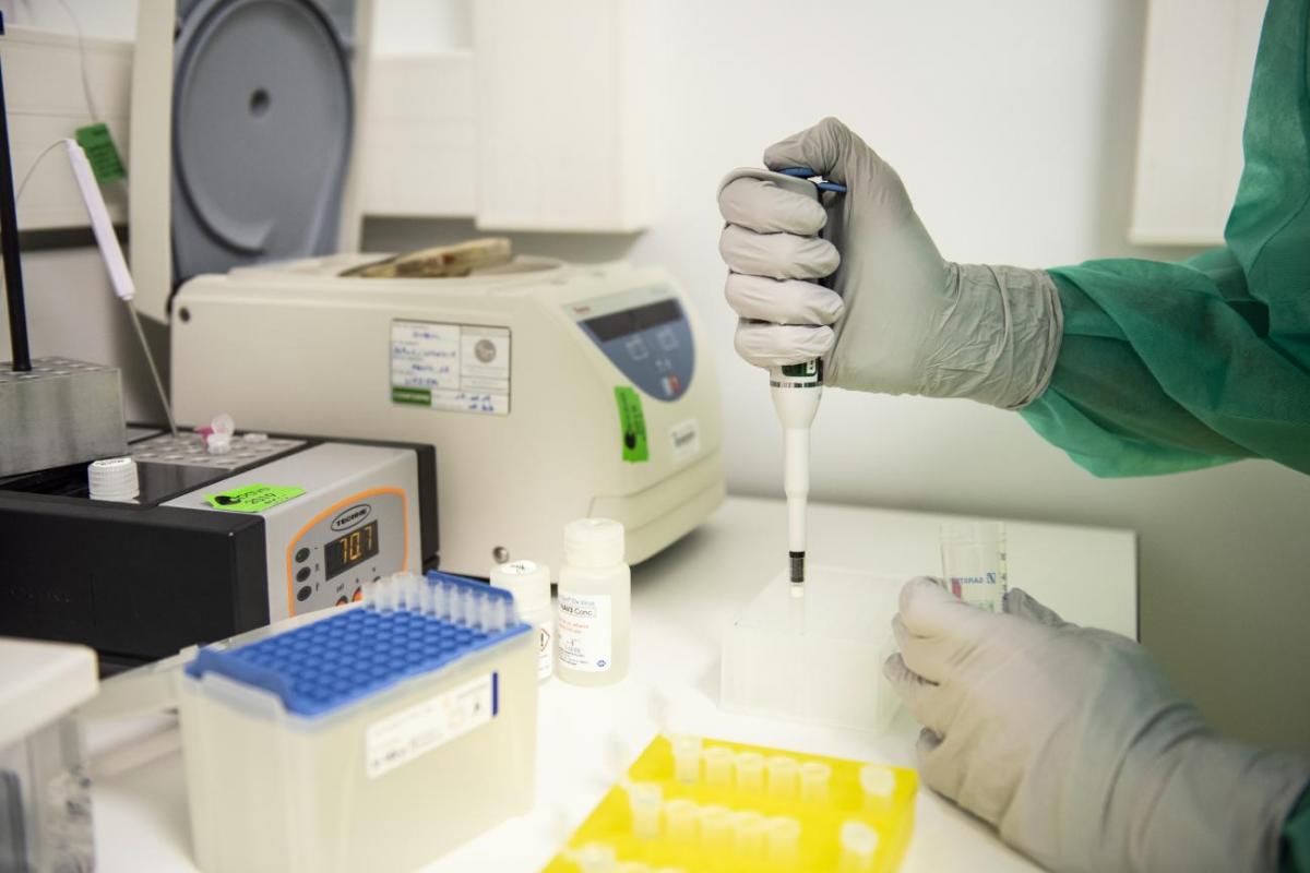 Covid-19 Maroc : 200.000 tests effectués par l’Institut Pasteur depuis la propagation de la pandémie