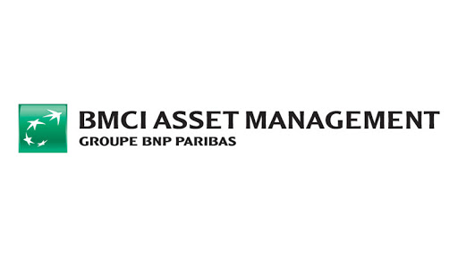 Fitch attribue la note AAA (mmf mar) au fonds monétaire BMCI Trésorerie de BMCI Asset Management