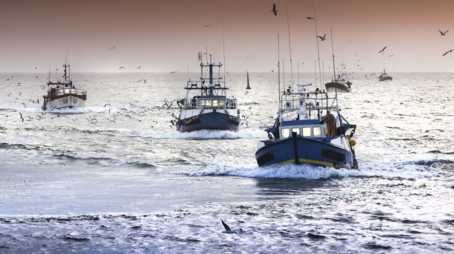 Pêche: Repli de 7% des débarquements en 2020