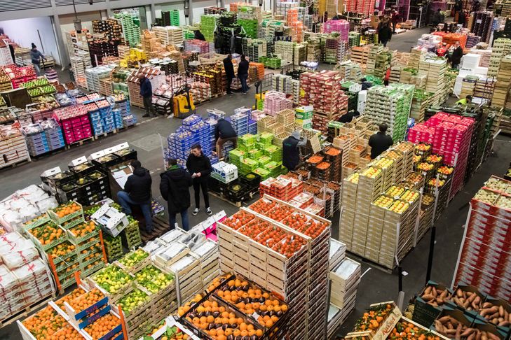 Plus de 474.000 tonnes de fruits et légumes exportés jusqu'en janvier 2021