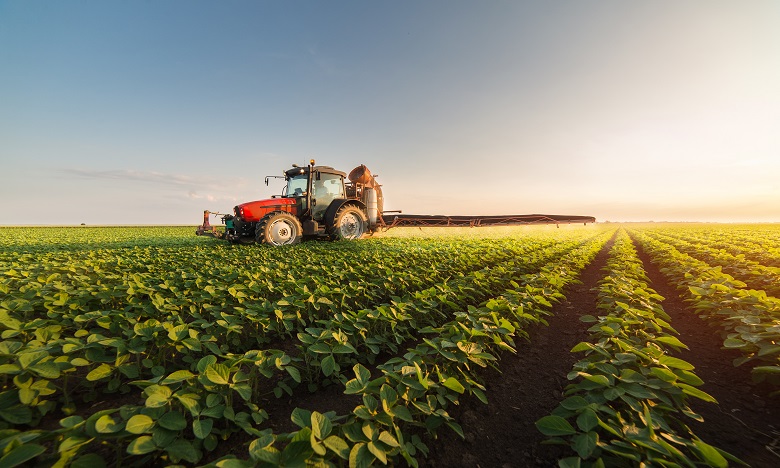 Agriculture: la valeur ajoutée pourrait atteindre 130 milliards de DH en 2021