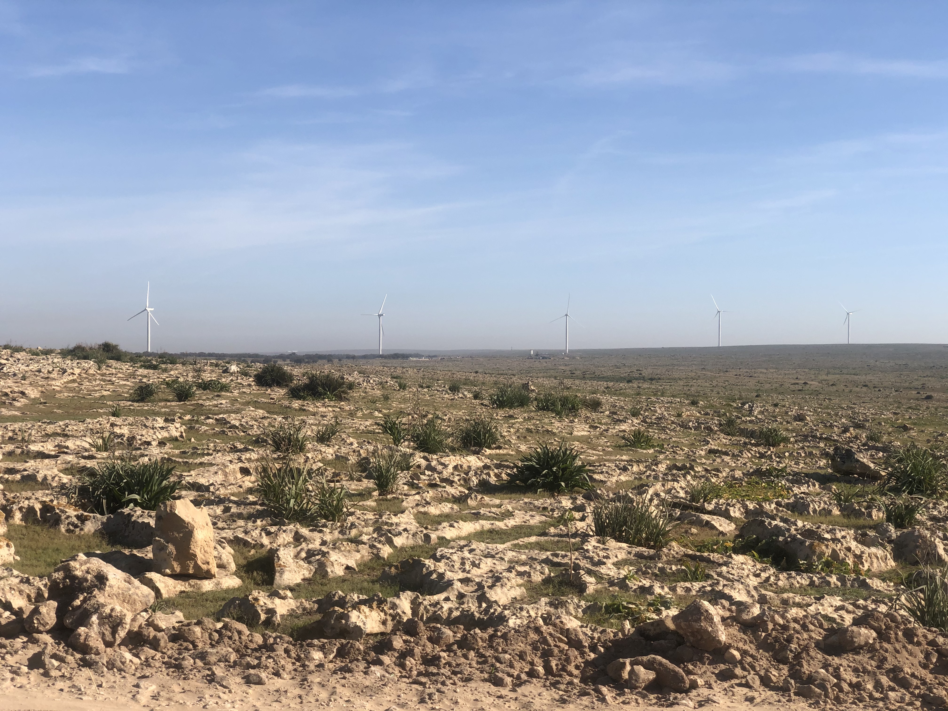 Crédit du Maroc: 50 millions de DH pour financer la centrale éolienne d’InnoVent