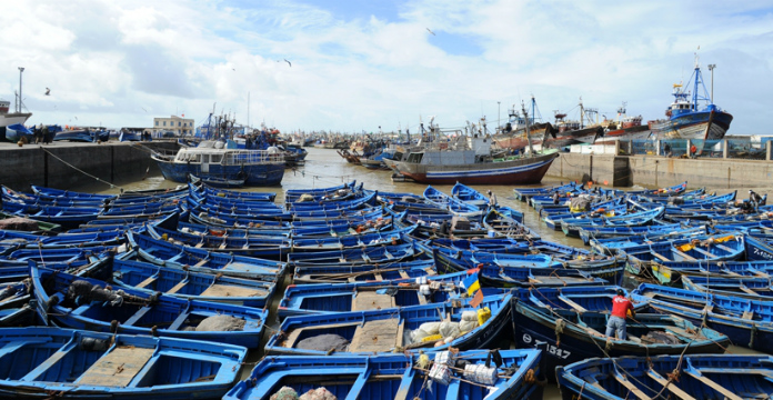 Pêche: la valeur des produits commercialisés en hausse de 35% durant le 1er semestre 2021