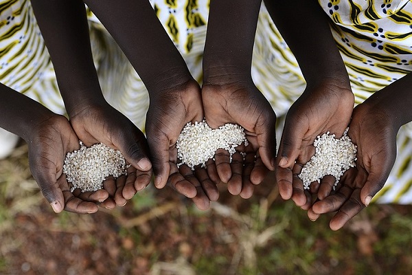 La sécurité alimentaire en Afrique