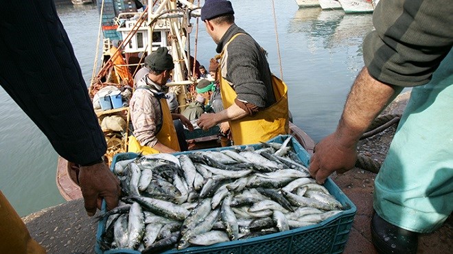 Pêche: les produits commercialisés en hausse de 14% au T1 2022