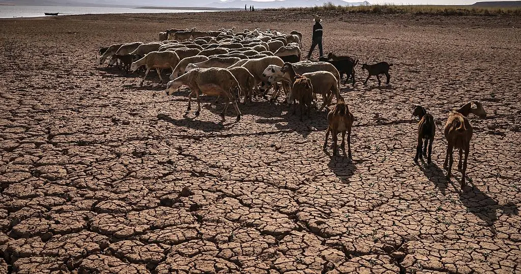 Ressources humaines: la sécheresse accentue l’exode rural et réduit le nombre de travailleurs agricoles
