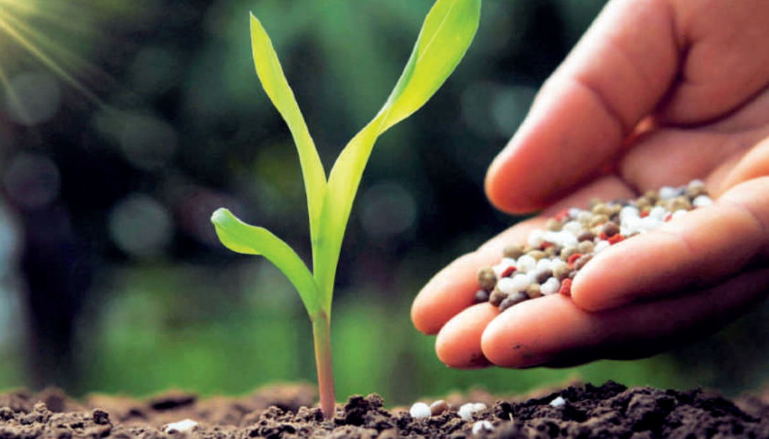 Fertilisation : acteur de référence du secteur, l’OCP accompagne les fellahs pour améliorer la productivité