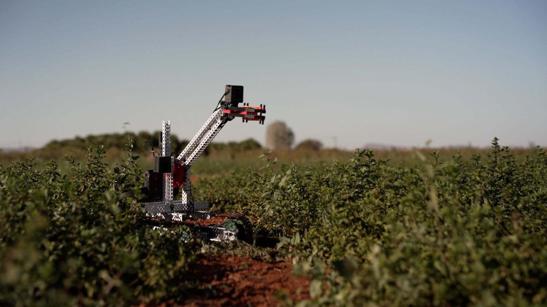 DeepLeaf : «Notre mission est de réduire le fossé technologique qui existe dans l'agriculture à l'échelle planétaire»