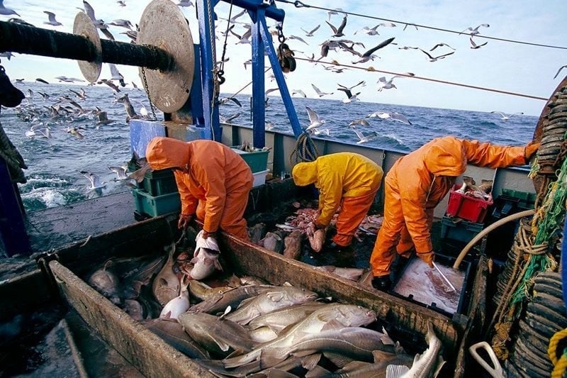 Pêche : plus de 3,11 MMDH de produits commercialisés à fin mars (ONP)