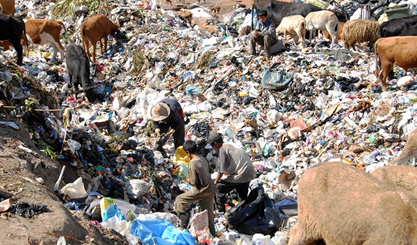  Valorisation des déchets : Le Maroc traîne le pas  