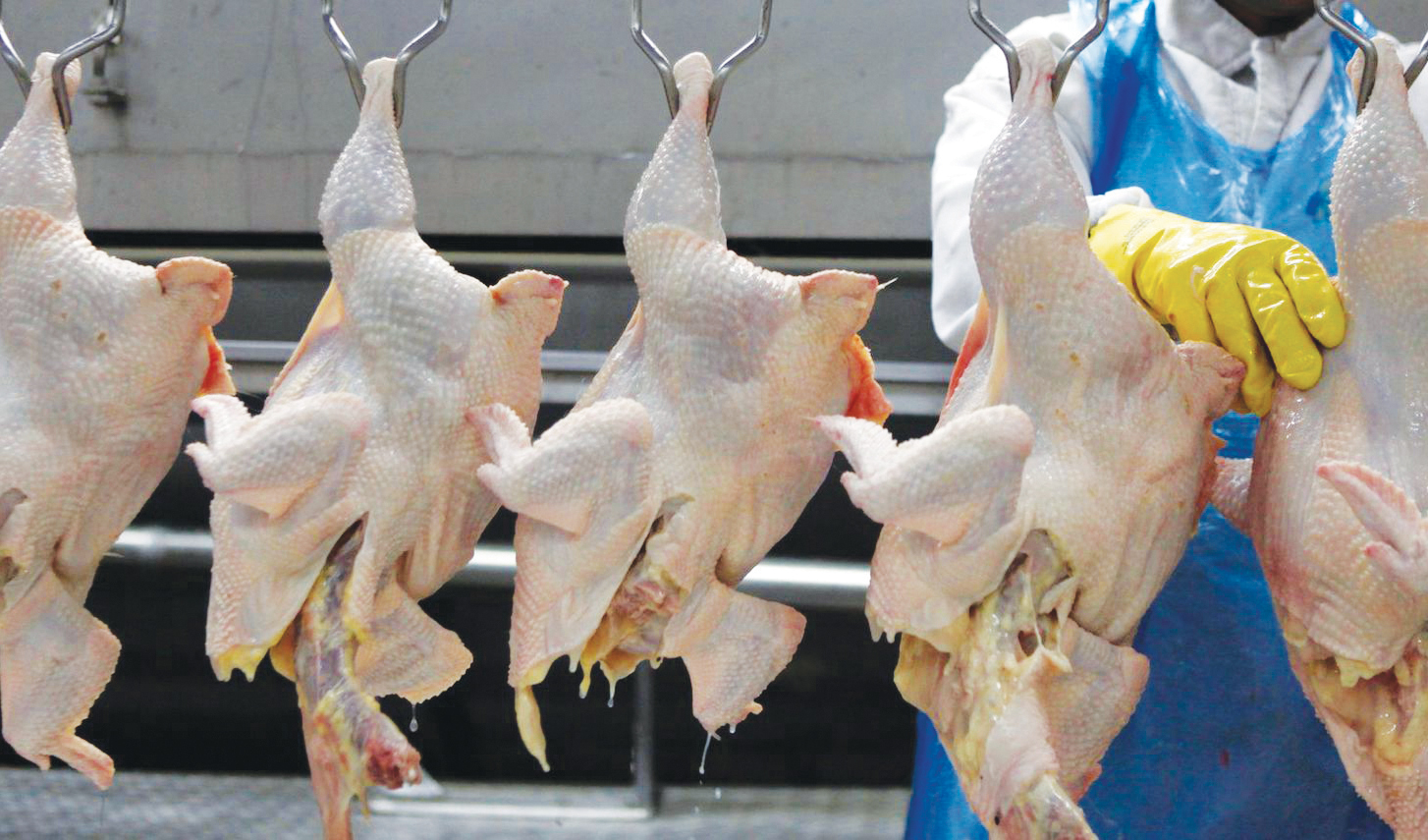 Aviculture : Dawajine fait le bilan du secteur