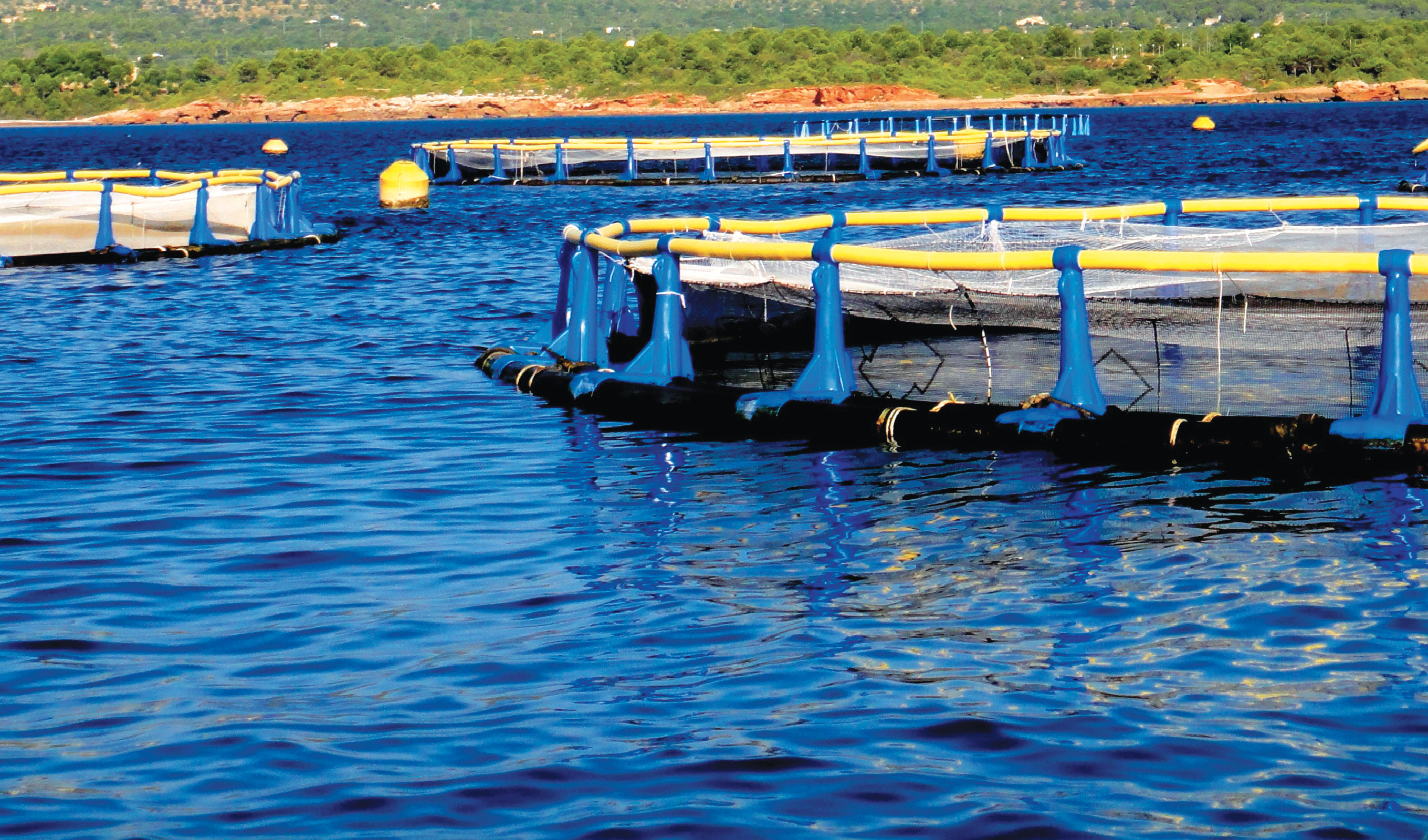 Aquaculture : 200.000 tonnes  à produire d’ici 2020 